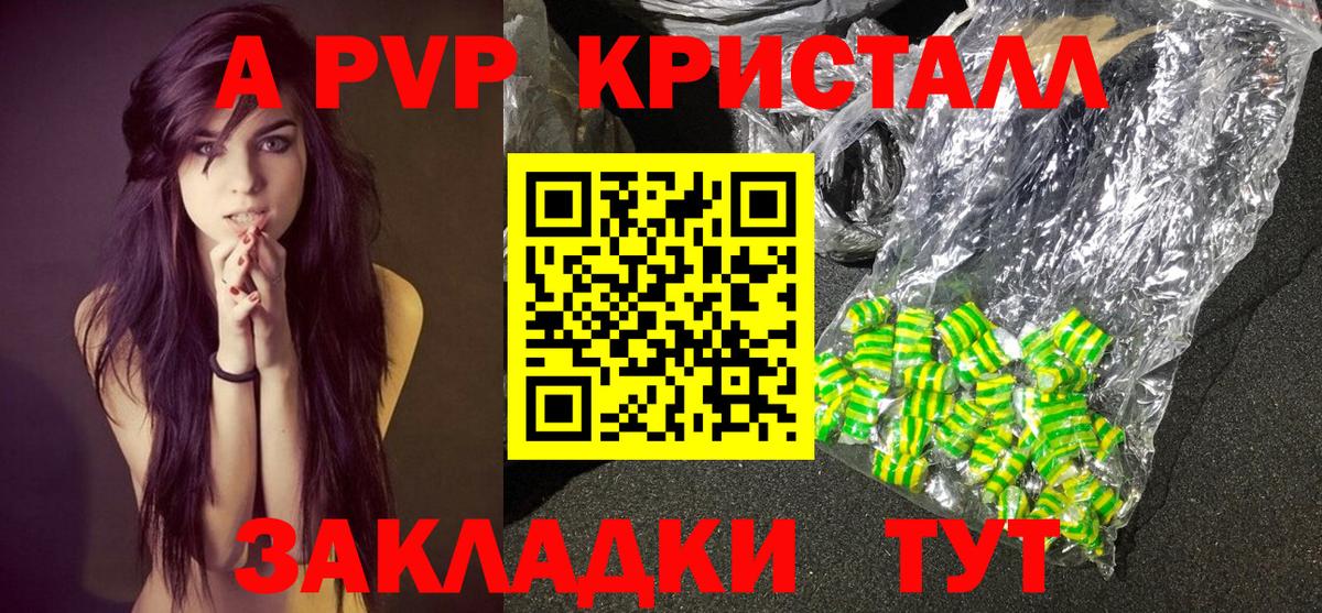 A PVP СК Сунжа