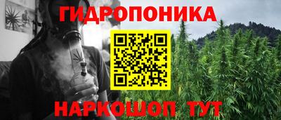 дживик Новозыбков