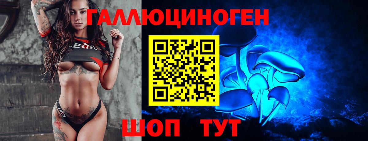 Псилоцибиновые грибы Psilocybe  Вход с VPN  Сунжа 
