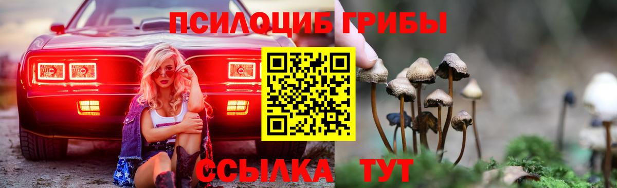 Галлюциногенные грибы Magic Shrooms Сунжа